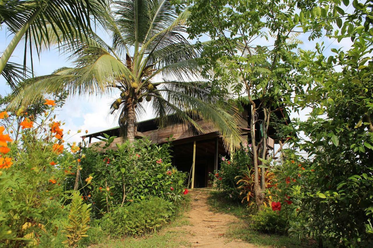 Posada la Ofelia Zaino Exterior foto